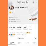 اکانت لایکی فروشی 29 هزار فالوور