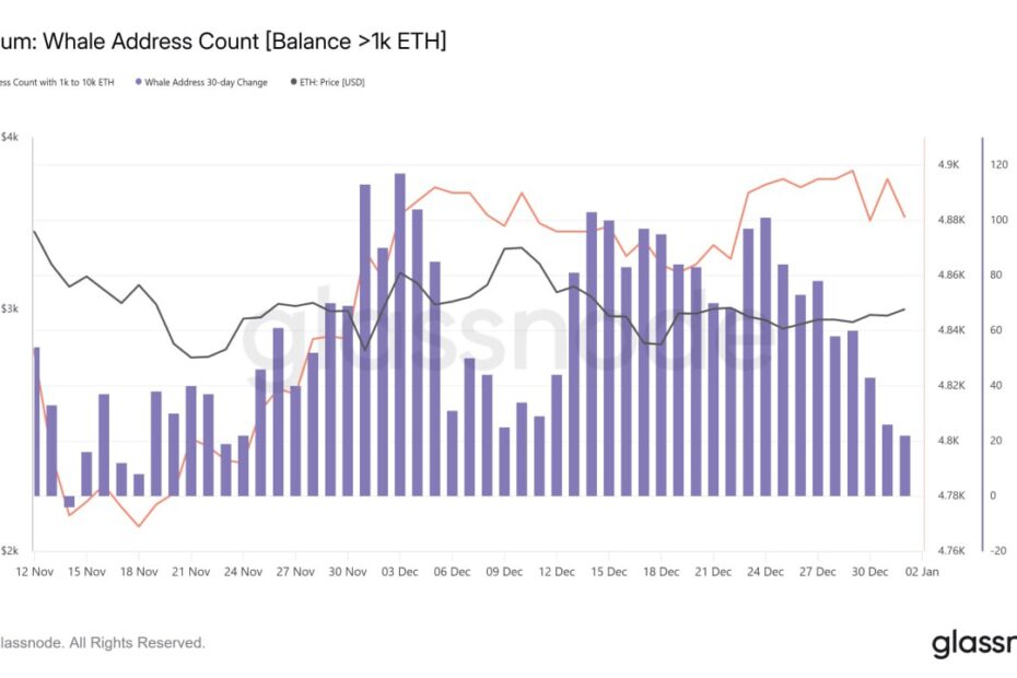 اتریوم زیر فشار نهنگ‌ها؛ آیا ETH می‌تونه به ۴٬۰۰۰ دلار برگرده؟
