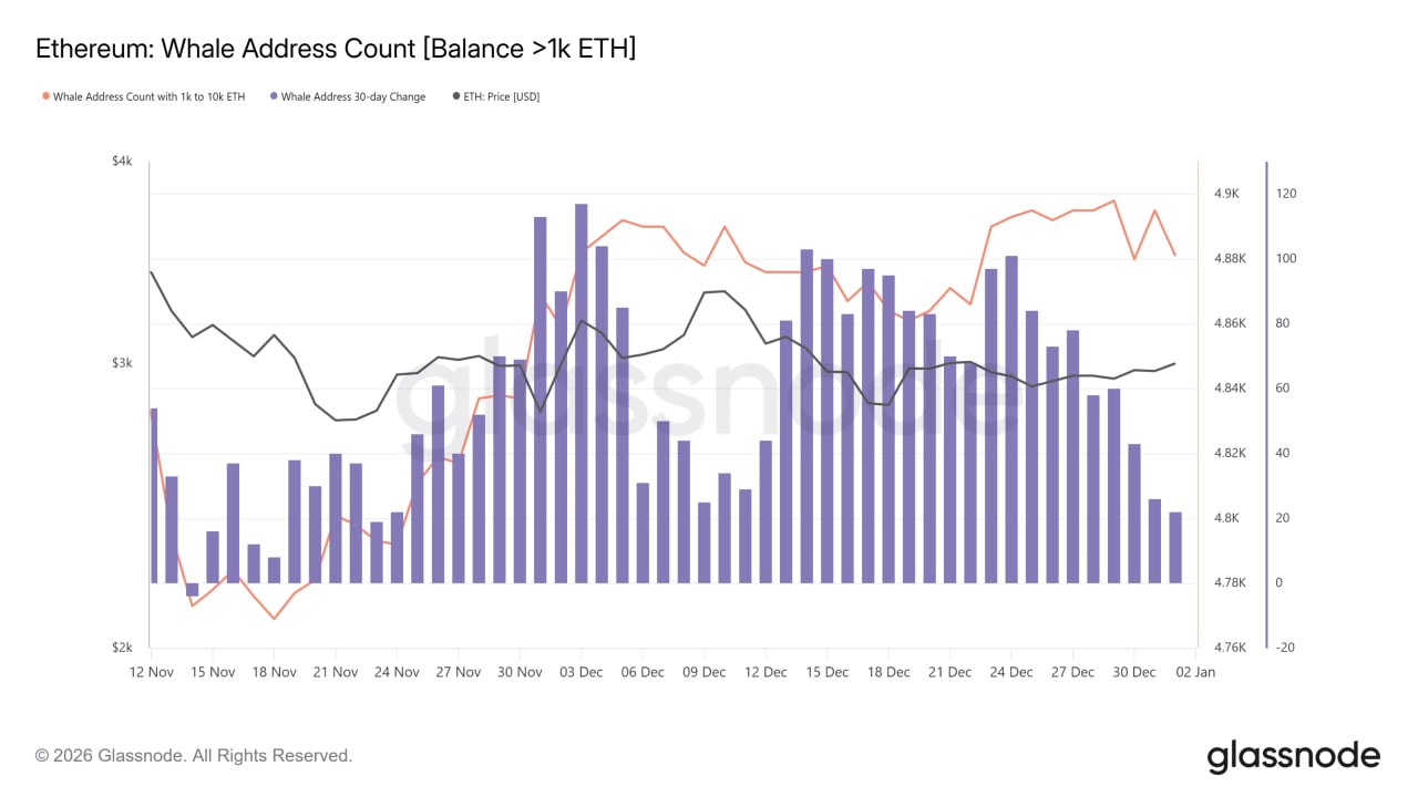 اتریوم زیر فشار نهنگ‌ها؛ آیا ETH می‌تونه به ۴٬۰۰۰ دلار برگرده؟
