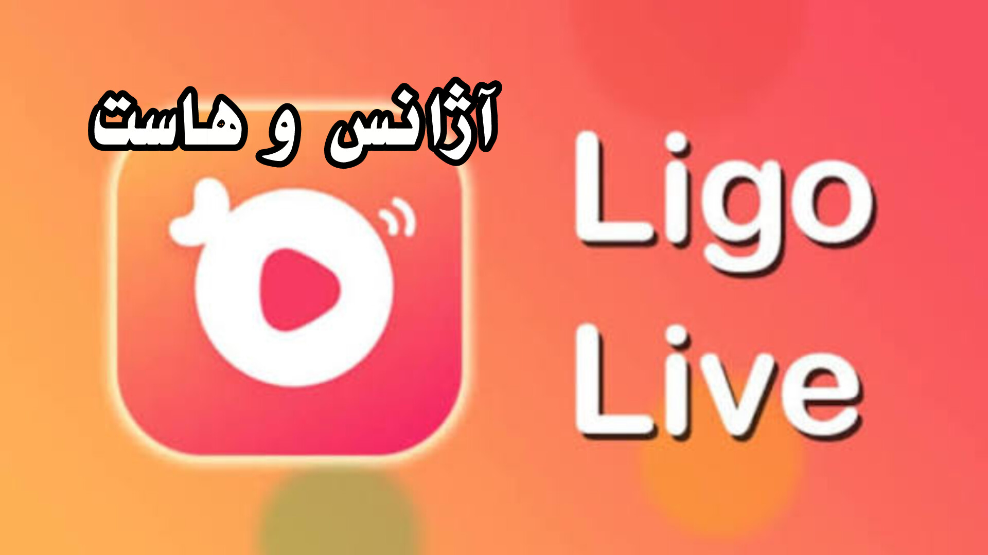 آژانس و هاست لیگو لایو | پشت پرده درآمدزایی در لیگو لایو