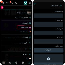 درآمد تیک تاک از بیکوب 
