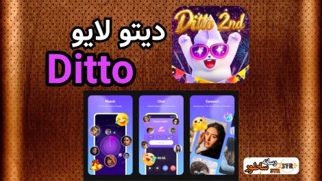دیتو لایو Ditto Live